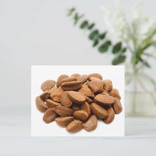 Paranussamen Postkarte (Stehend Vorderseite)