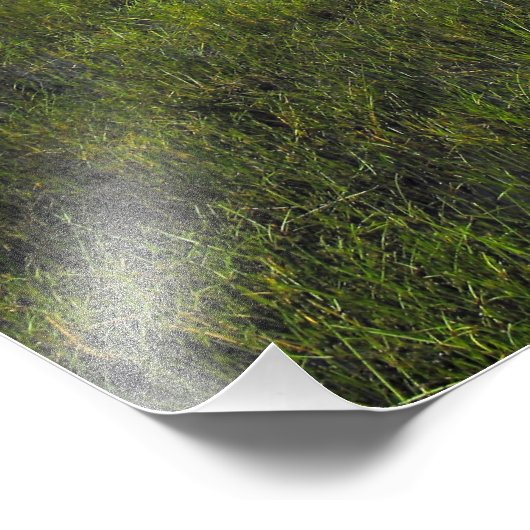 Pararaha Fotodruck (Ecke)