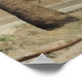 Pararescue Jumper Poster (Ecke)