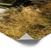 Pararescue Jumpers Poster (Ecke)