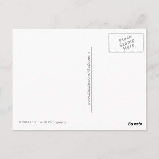 Parasailing-Liebe Postkarte (Rückseite)