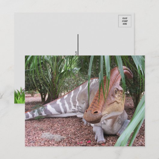 Parasaurolophus - Dinosaurier - Postkarte (Vorne/Hinten)