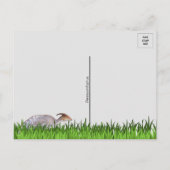 Parasaurolophus - Dinosaurier - Postkarte (Rückseite)