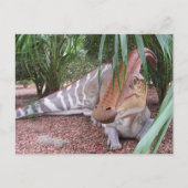 Parasaurolophus - Dinosaurier - Postkarte (Vorderseite)