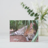 Parasaurolophus - Dinosaurier - Postkarte (Stehend Vorderseite)