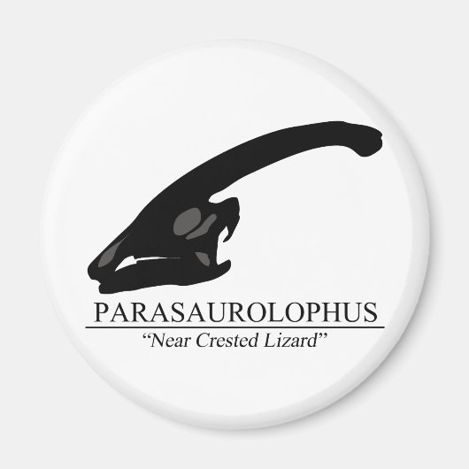 Parasaurolophus Magnet (Vorne)