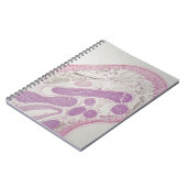 Parasitärer Fadenwurmwurm (Ascarid-SP.) Notizblock (Linke Seite)