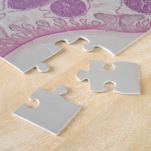 Parasitärer Fadenwurmwurm (Ascarid-SP.) Puzzle (Seite)