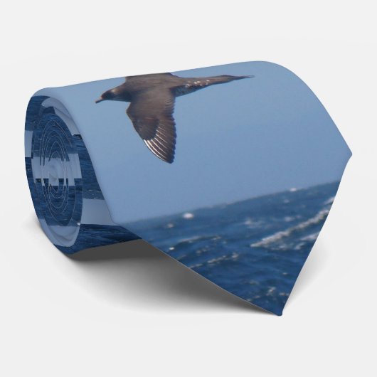 Parasitärer Jaeger-Krawatte Krawatte (Gerollt)