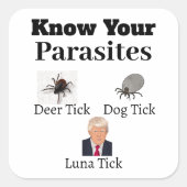 Parasiten-Aufkleber Quadratischer Aufkleber (Vorderseite)