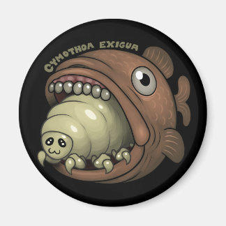 PARASITEN: Cymothoa exigua Magnet