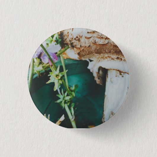 Parasol mushroom, Swedish Archipelago, Sweden Button (Vorderseite)