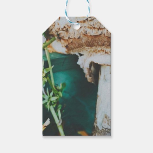 Parasol mushroom, Swedish Archipelago, Sweden Geschenkanhänger (Vorderseite)