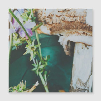 Parasol mushroom, Swedish Archipelago, Sweden Magnetkarte