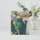 Parasol mushroom, Swedish Archipelago, Sweden Postkarte (Stehend Vorderseite)