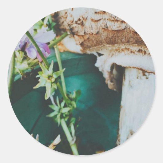 Parasol mushroom, Swedish Archipelago, Sweden Runder Aufkleber (Vorderseite)