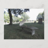 Parasol Postkarte (Vorderseite)