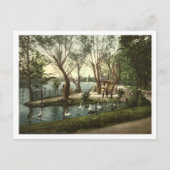 Parc de la Tête d'Or, Lyon, Frankreich Postkarte (Vorderseite)