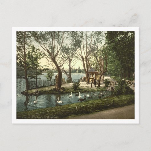 Parc de la Tête d'Or, Lyon, Frankreich Postkarte (Vorderseite)