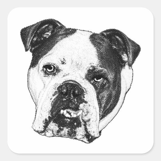 Parcel Mark Bulldog Quadratischer Aufkleber (Vorderseite)