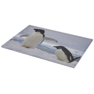 Pärchen Adeliepinguine Antarktika Schneidebrett