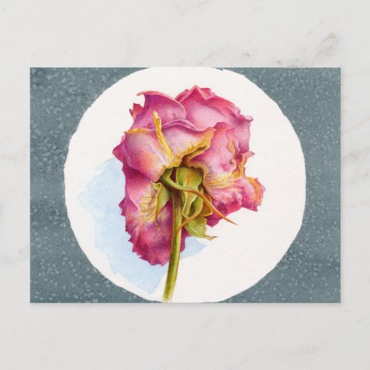 PARCHIERTE ROSE POSTKARTE (Vorderseite)