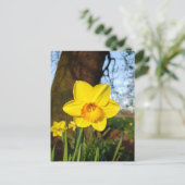 Parco delle camelie Locarno Postkarte (Stehend Vorderseite)