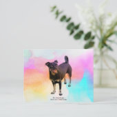 Parco delle camelie Locarno Postkarte (Stehend Vorderseite)