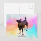 Parco delle camelie Locarno Postkarte (Vorne/Hinten)