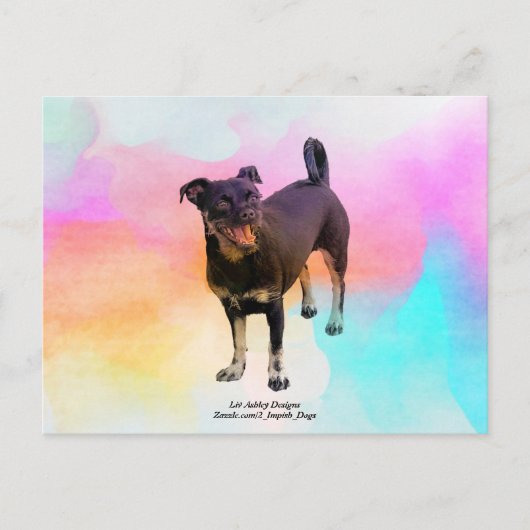 Parco delle camelie Locarno Postkarte (Vorderseite)