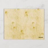 Parco delle camelie Locarno Ristorante da Valentin Postkarte (Rückseite)