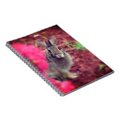 Pardon Me Bunny Spiral Journal Notizblock (Rechte Seite)