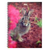 Pardon Me Bunny Spiral Journal Notizblock (Vorderseite)