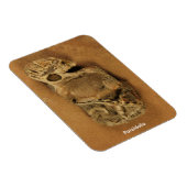 Pareidolia Magnet (Rechte Seite)