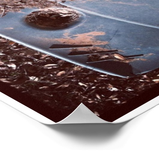 Pareidolia Trilogy Poster (Ecke)