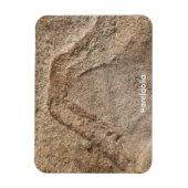 Pareidolie Magnet (Vertikal)