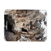 Pareidolie Magnet (Horizontal)