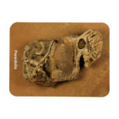 Pareidolie Magnet (Horizontal)