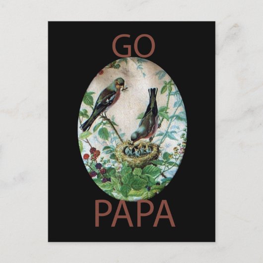 Parierte Eltern, Wertvolle Küken: Eine Naturgeschi Postkarte (Vorderseite)