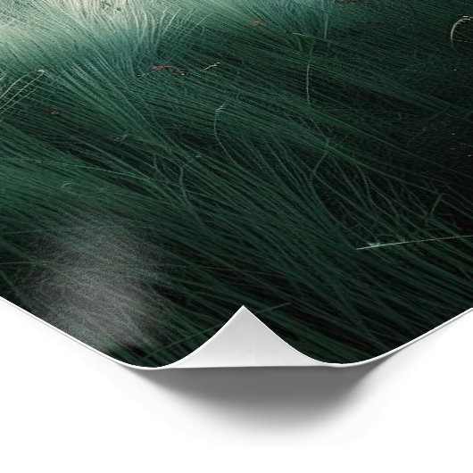 París: Arte de línea con Coordenadas. Poster (Ecke)