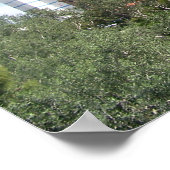 Paris Casino Las Vegas, NV Poster (Ecke)