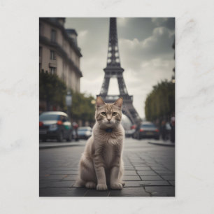 Paris Cat Postkarte