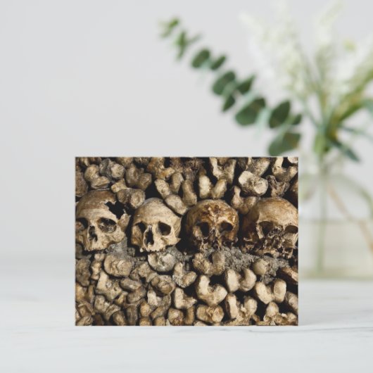 Paris Catacombs Skulls & Bones Postcard Postkarte (Stehend Vorderseite)