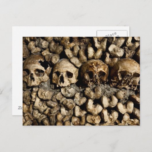 Paris Catacombs Skulls & Bones Postcard Postkarte (Vorne/Hinten)