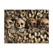 Paris Catacombs Skulls & Bones Postcard