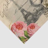 Paris Crow Globe Französisches Postkartenpapier Ro Seidenpapier (Ausschnitt)