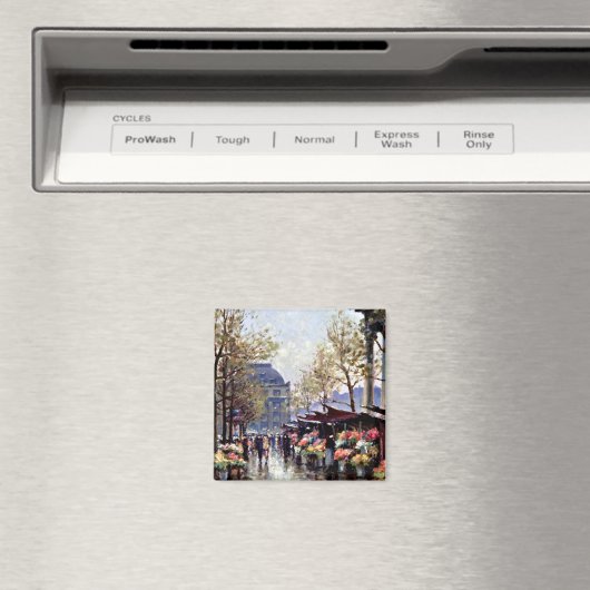 Paris, Der Markt der Blume La Madeleine Magnet (In Situ (Geschirrspüler))