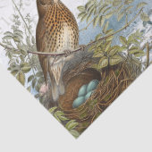 Paris Eiffel Tower Bird Nest Französischer Text De Seidenpapier (Detail)