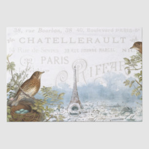 Paris Eiffel Tower Bird Nest Französischer Text De Seidenpapier