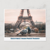 Paris Eiffel Tower Love Birds Postkarte (Vorderseite)